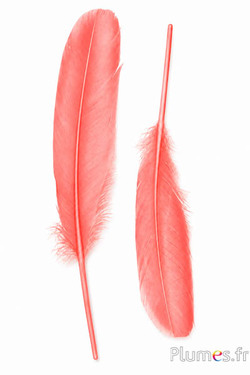 Cigno seta - 25-30 cm - salmone rosa